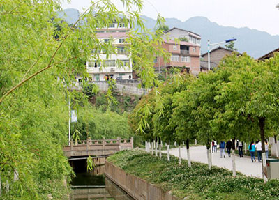 學(xué)校風(fēng)景